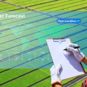 World Weather